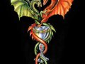 USER86556-Enlaze de 2 dragones.jpg